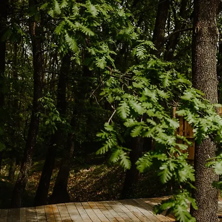 Zbun - Kuca Na Avali 펜션 *