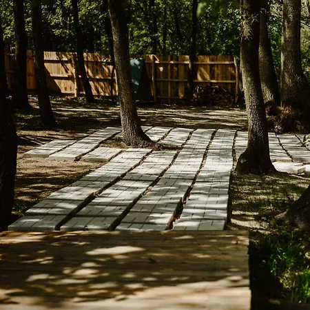 Zbun - Kuca Na Avali 펜션