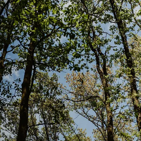 펜션 Zbun - Kuca Na Avali *