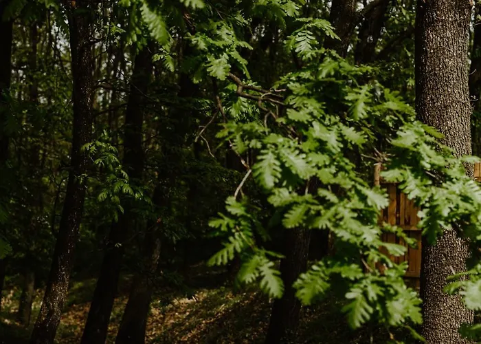 Zbun - Kuca Na Avali Дом отдыха *