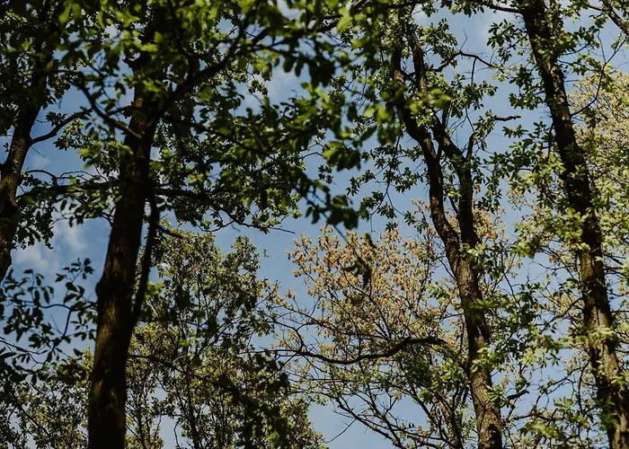 Дом отдыха Zbun - Kuca Na Avali *